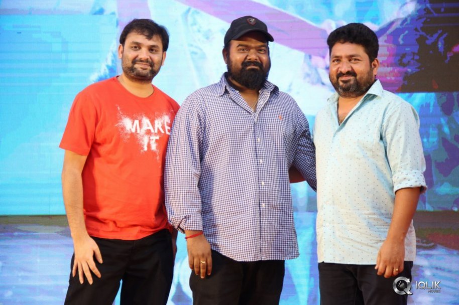 Bheeshma-Movie-Successmeet